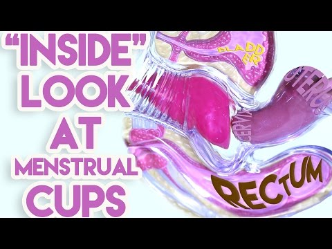 An &quot;Inside&quot; Look at Menstrual Cups