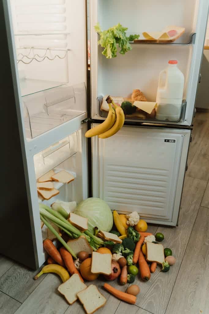 A messy open refrigerator with fresh vegetables and bread scattered on the floor.